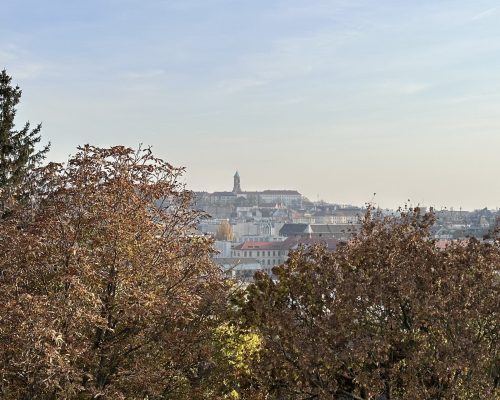 IMG_0071